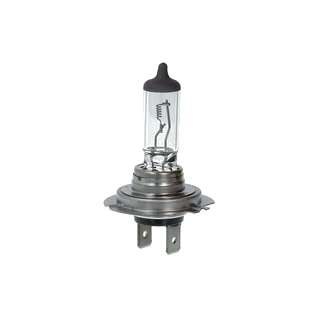 Halogenlampe 24V H7 70W Glühlampe OSRAM