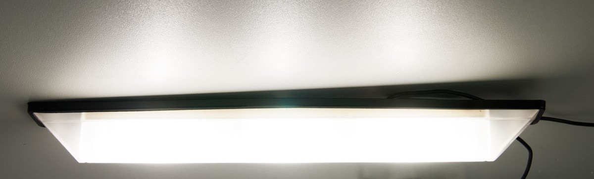 Innenraumleuchte 12 V / 24 V LED weiß Länge 254 mm