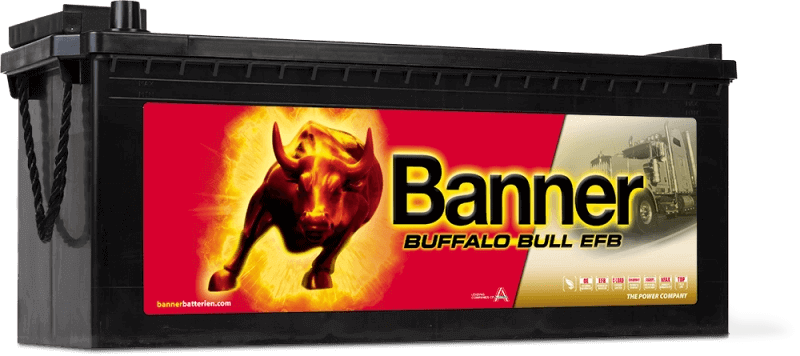 Batterie 240 Ah "EFB" BUFFALO BULL 1200 A (EN)